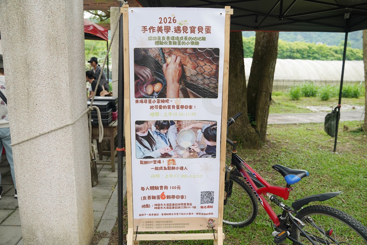 【2026 漫步康莊：大家來作客】在大溪康莊遇見最美的桐花生活 康莊小農市集/低碳健走闖關/桐花午宴/親子手作美學