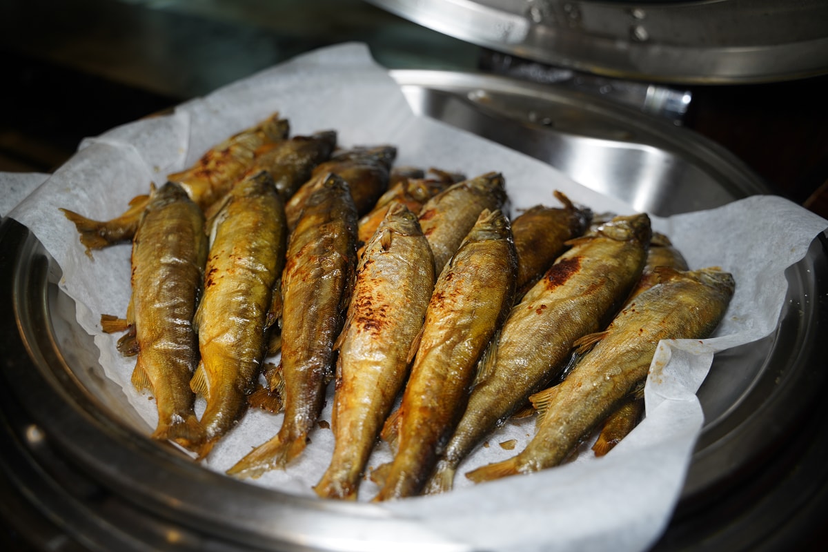 【松鶴餐廳】圓山大飯店自助吧吃到飽 氣派宮殿式裝潢/多樣化無國界料理 旅展購買餐券更加優惠