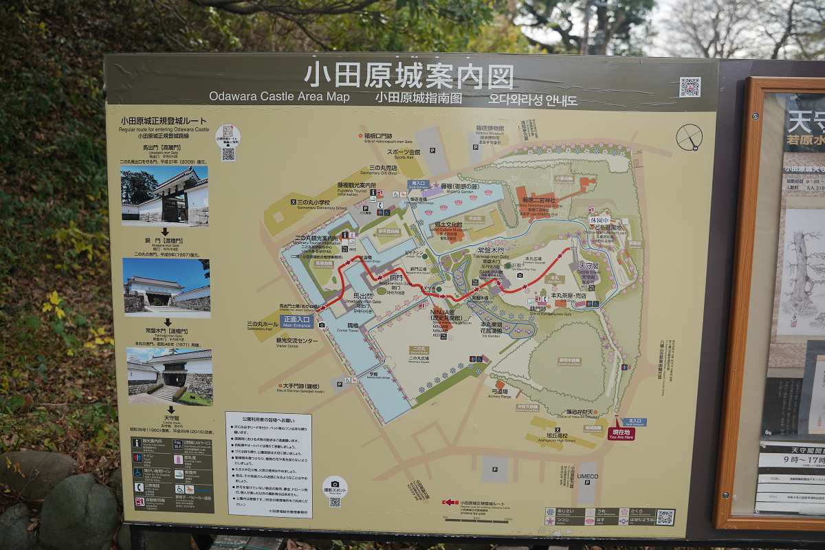 【小田原城】日本國家指定史蹟 戰國時代「難攻不落之城」成功抵擋武田信玄/上杉謙信兩大戰國名將 - 第3張圖 【小田原城】日本國家指定史蹟 戰國時代「難攻不落之城」成功抵擋武田信玄/上杉謙信兩大戰國名將