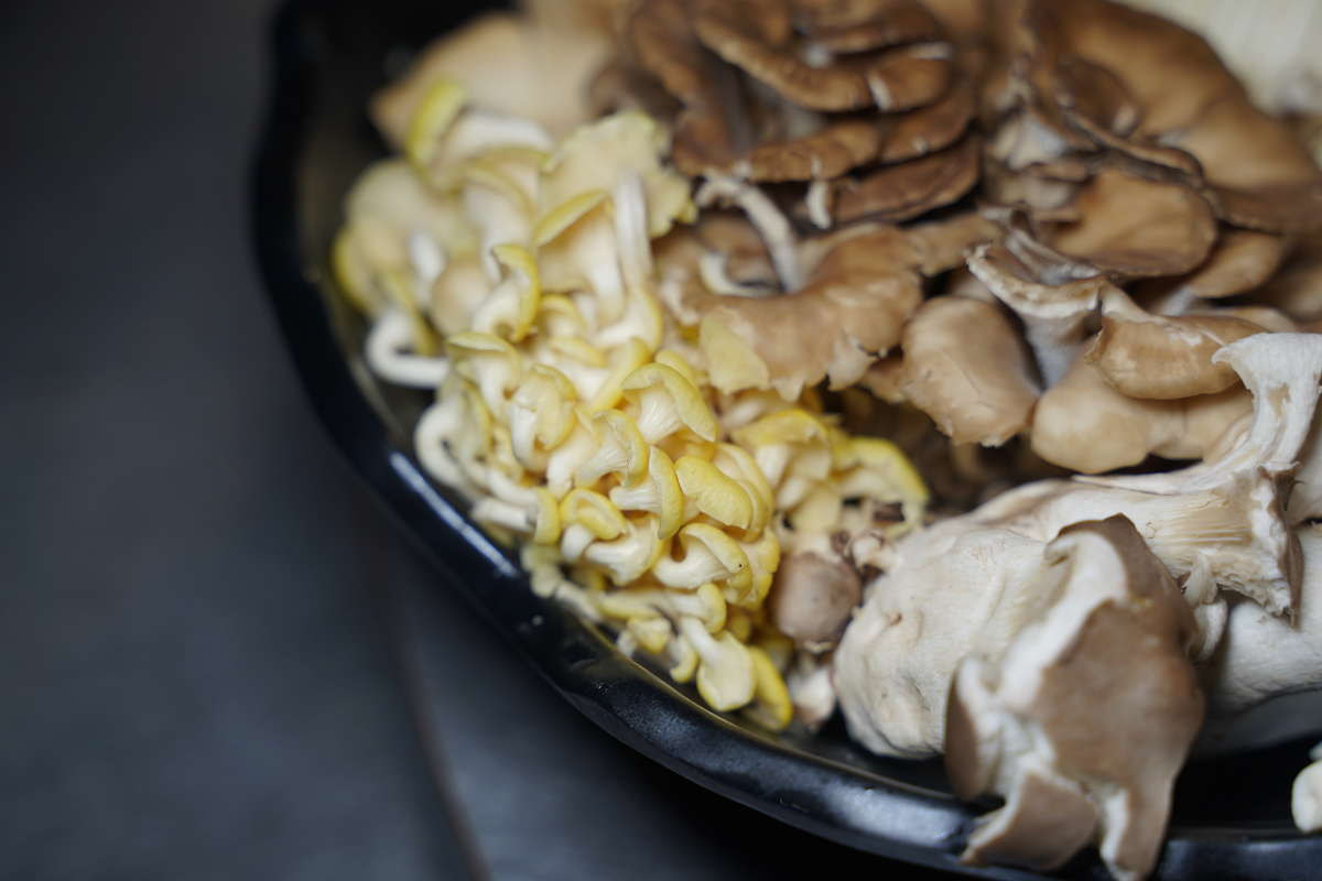 【菇神鹿谷店】南投鹿谷美食餐廳推薦 連續五年入選臺灣米其林指南殊榮 美味必點天白花菇燉土雞