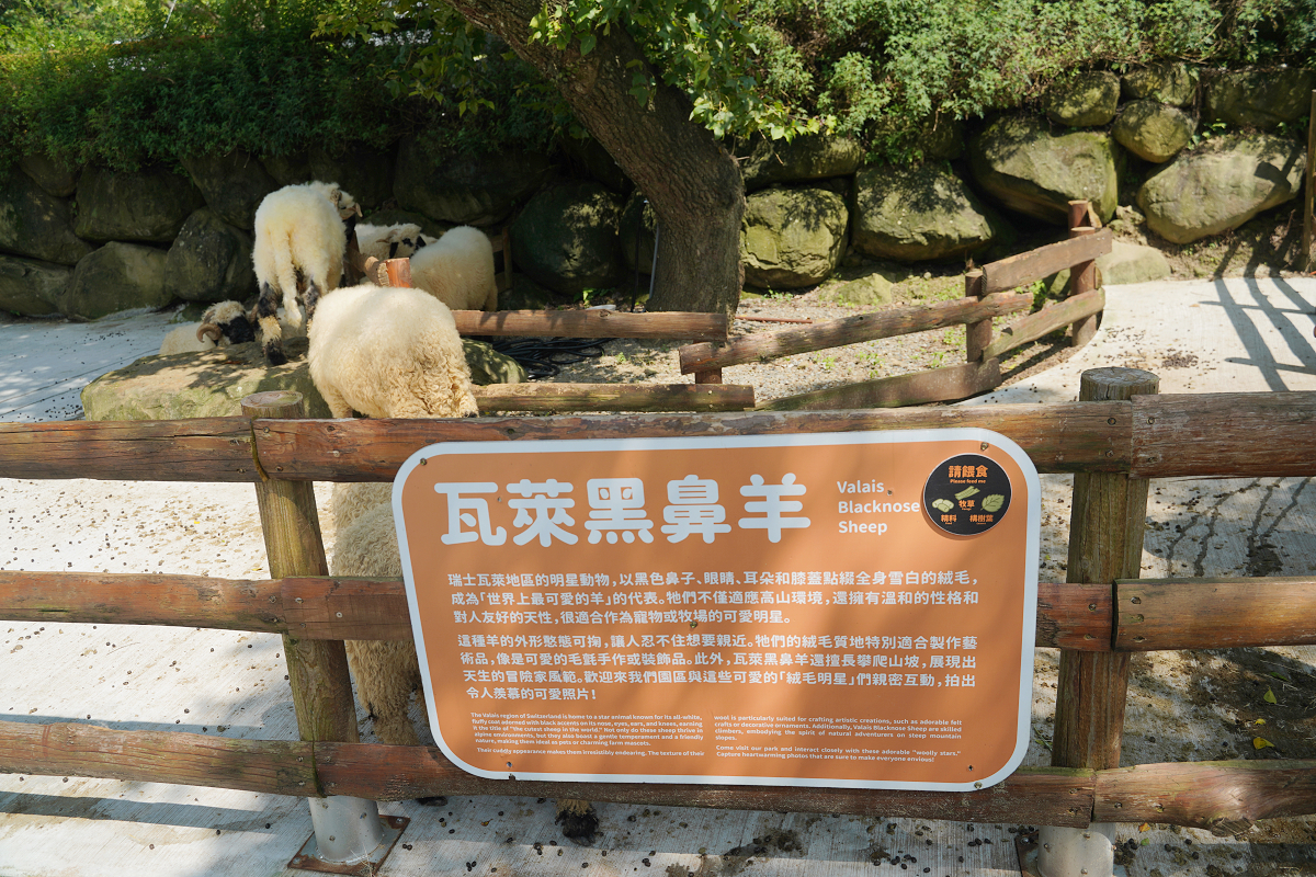 【鹿芝谷生態景觀園區】南投鹿谷親子景點推薦 300元低消券可全額折抵 小動物餵食/多肉DIY