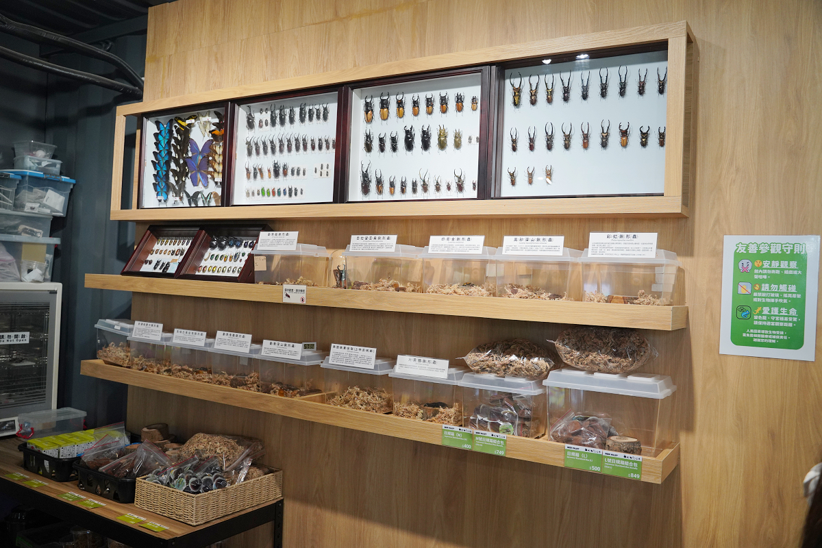 【鹿芝谷生態景觀園區】南投鹿谷親子景點推薦 300元低消券可全額折抵 小動物餵食/多肉DIY