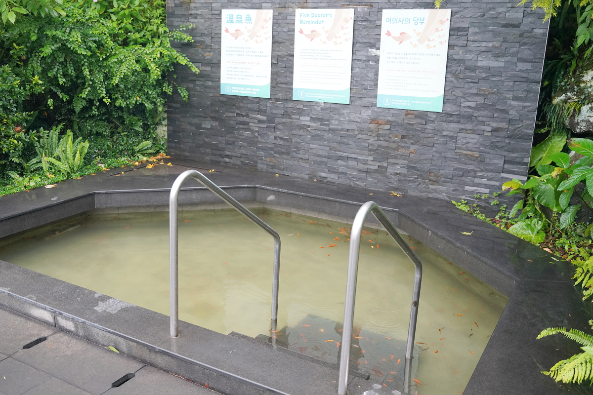 【陽明山天籟渡假酒店】北台灣最大2000坪湧泉樂園 夏燒台味島嶼微醺 星空戶外廚房BBQ