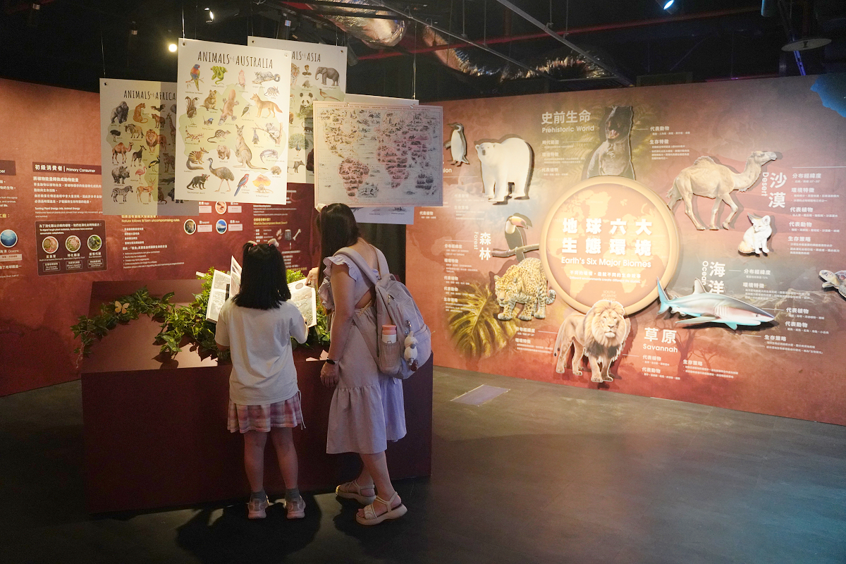 【動物王國大探險展-比薩大學自然史博物館】真實動物標本+沉浸式光影 國立臺灣科學教育館