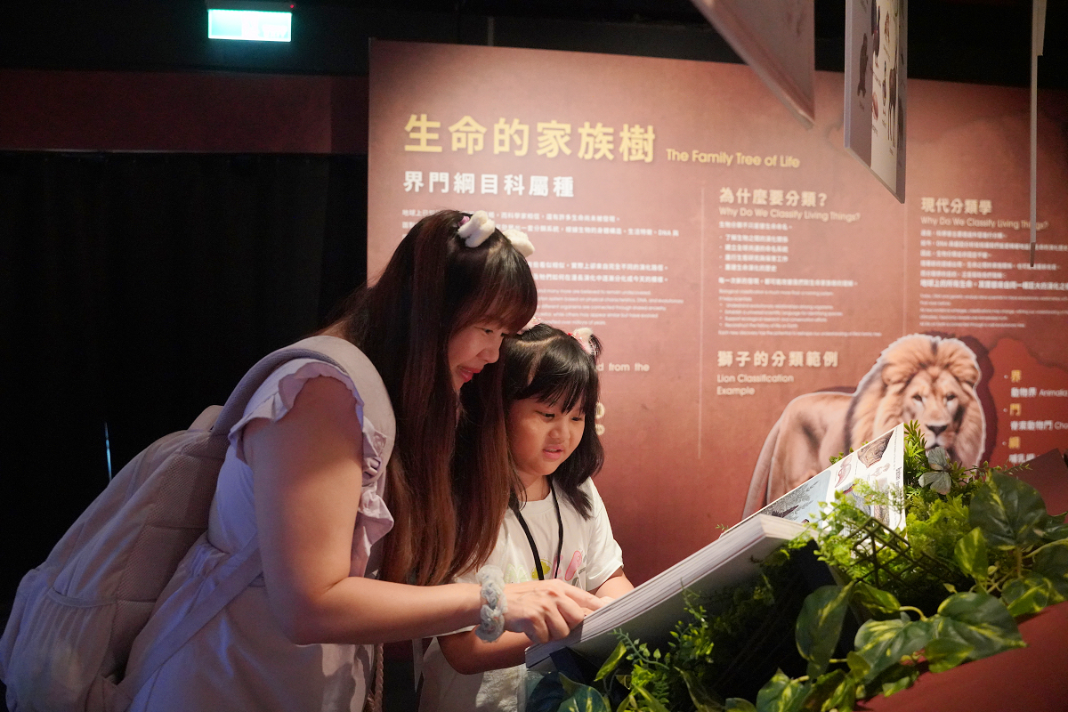 【動物王國大探險展-比薩大學自然史博物館】真實動物標本+沉浸式光影 國立臺灣科學教育館