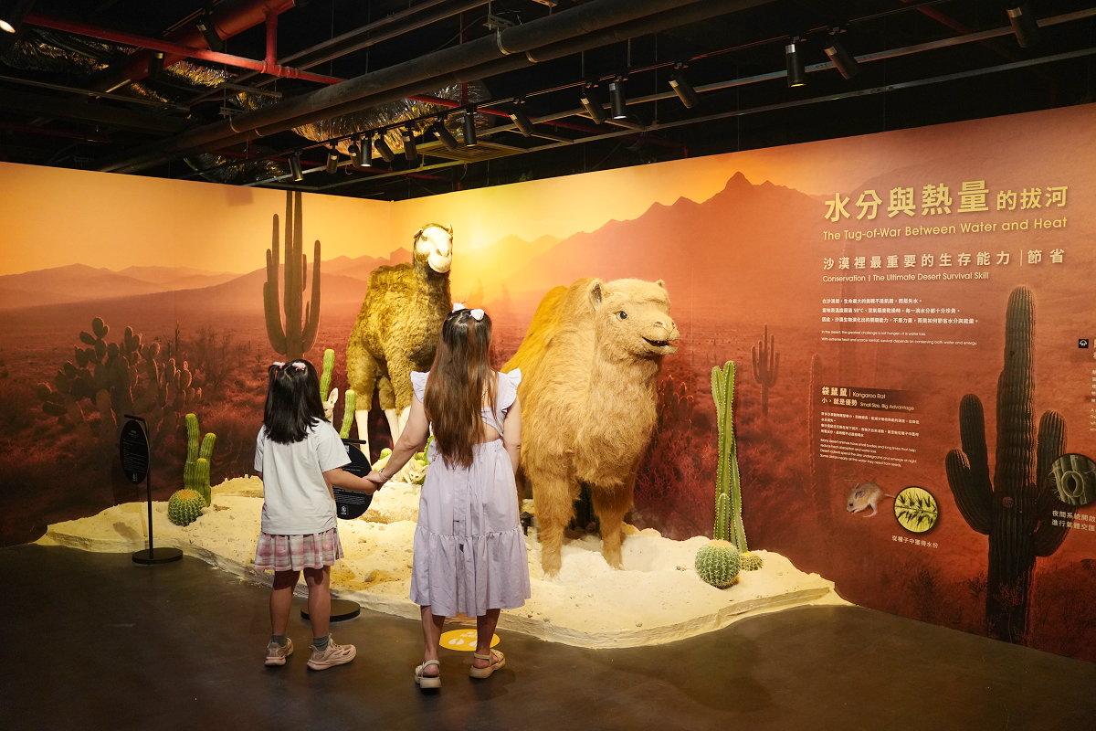 【動物王國大探險展-比薩大學自然史博物館】真實動物標本+沉浸式光影 國立臺灣科學教育館