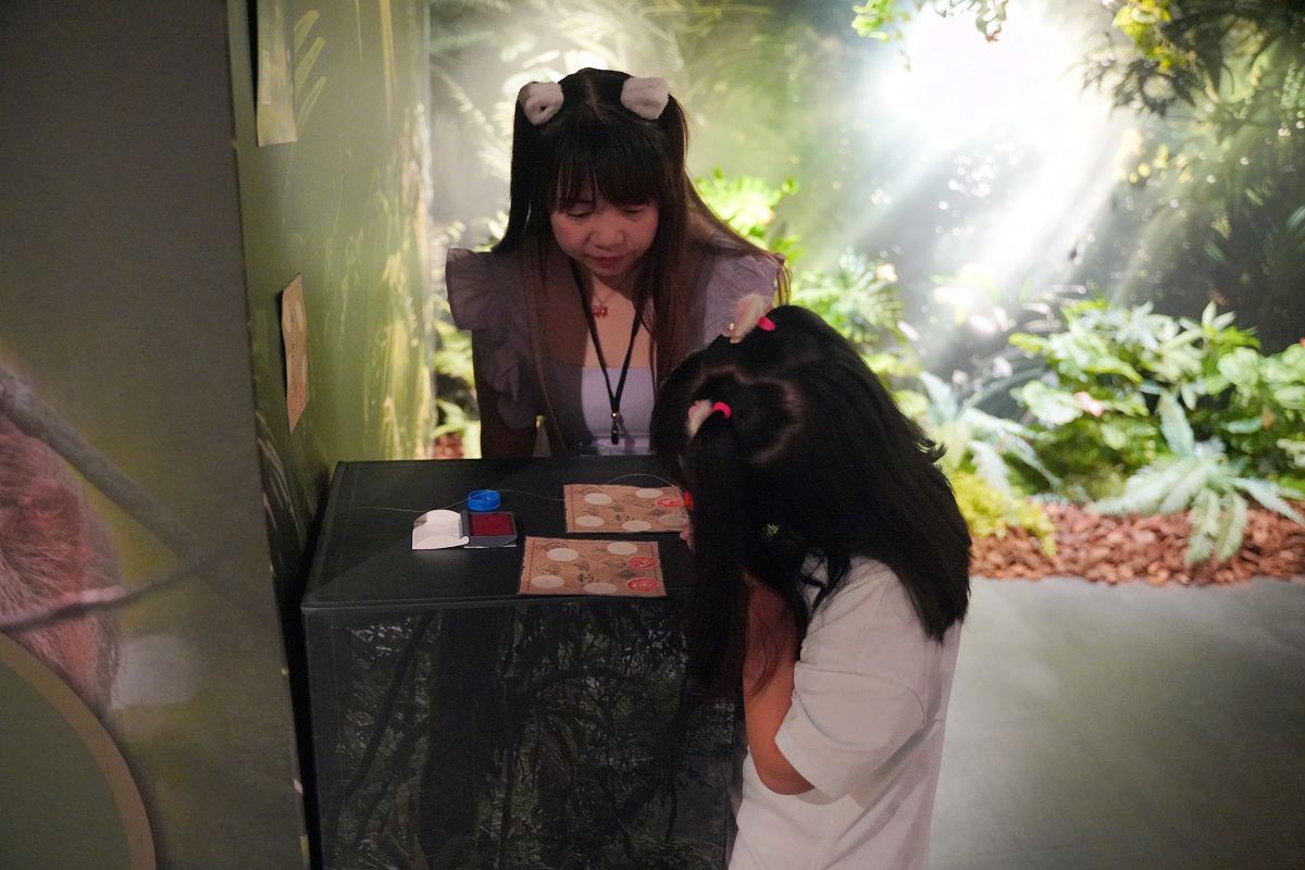 【動物王國大探險展-比薩大學自然史博物館】真實動物標本+沉浸式光影 國立臺灣科學教育館