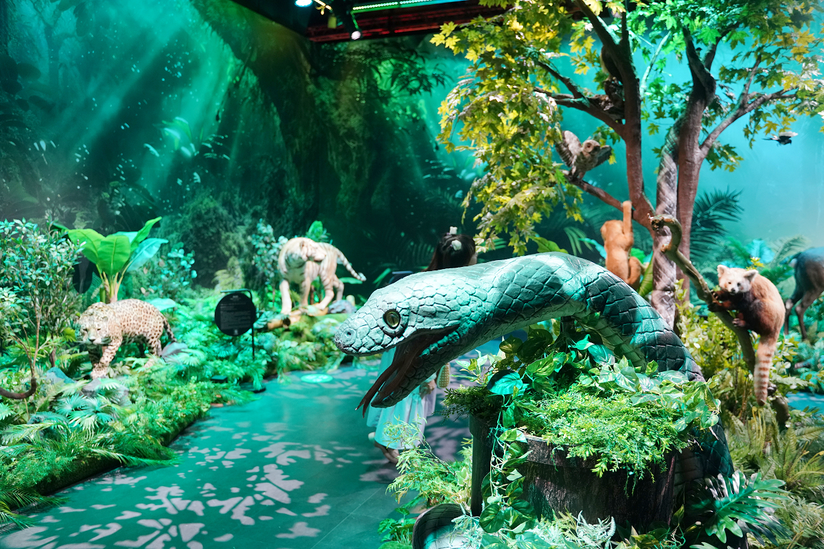 【動物王國大探險展-比薩大學自然史博物館】真實動物標本+沉浸式光影 國立臺灣科學教育館