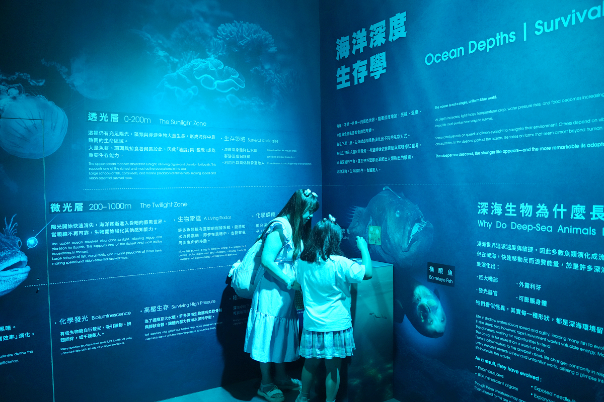 【動物王國大探險展-比薩大學自然史博物館】真實動物標本+沉浸式光影 國立臺灣科學教育館