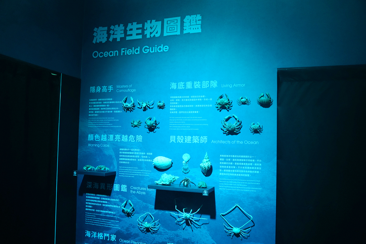 【動物王國大探險展-比薩大學自然史博物館】真實動物標本+沉浸式光影 國立臺灣科學教育館