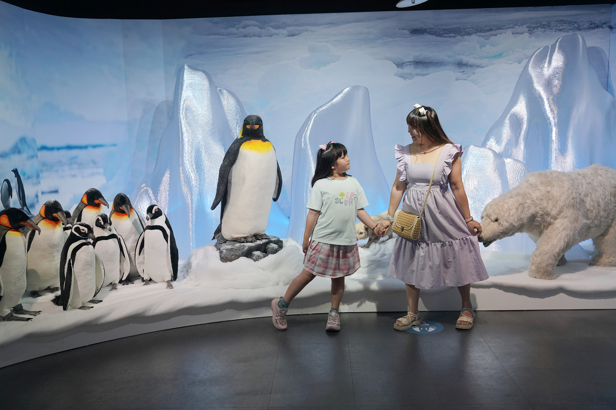 【動物王國大探險展-比薩大學自然史博物館】真實動物標本+沉浸式光影 國立臺灣科學教育館