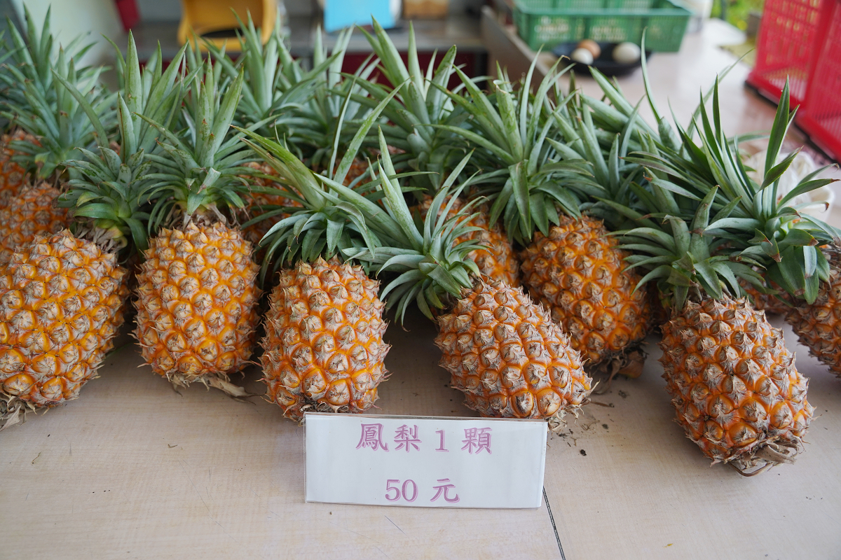 【花蓮富興社區】全台最大土鳳梨產地 富興客棧鳳梨主題大餐/純鳳梨刨冰/鳳梨酥手作DIY體驗 - 第5張圖 【花蓮富興社區】全台最大土鳳梨產地 富興客棧鳳梨主題大餐/純鳳梨刨冰/鳳梨酥手作DIY體驗