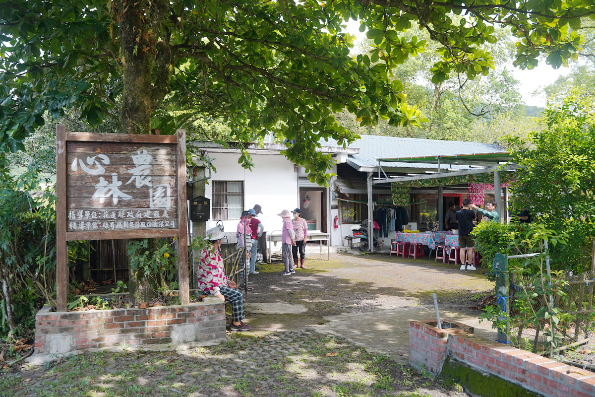 【花蓮大豐社區】心林農園客家傳統美食手作體驗 窯烤麵包/客家擂茶/客家花生糕/草仔粿/米苔目 - 第2張圖 【花蓮大豐社區】心林農園客家傳統美食手作體驗 窯烤麵包/客家擂茶/客家花生糕/草仔粿/米苔目
