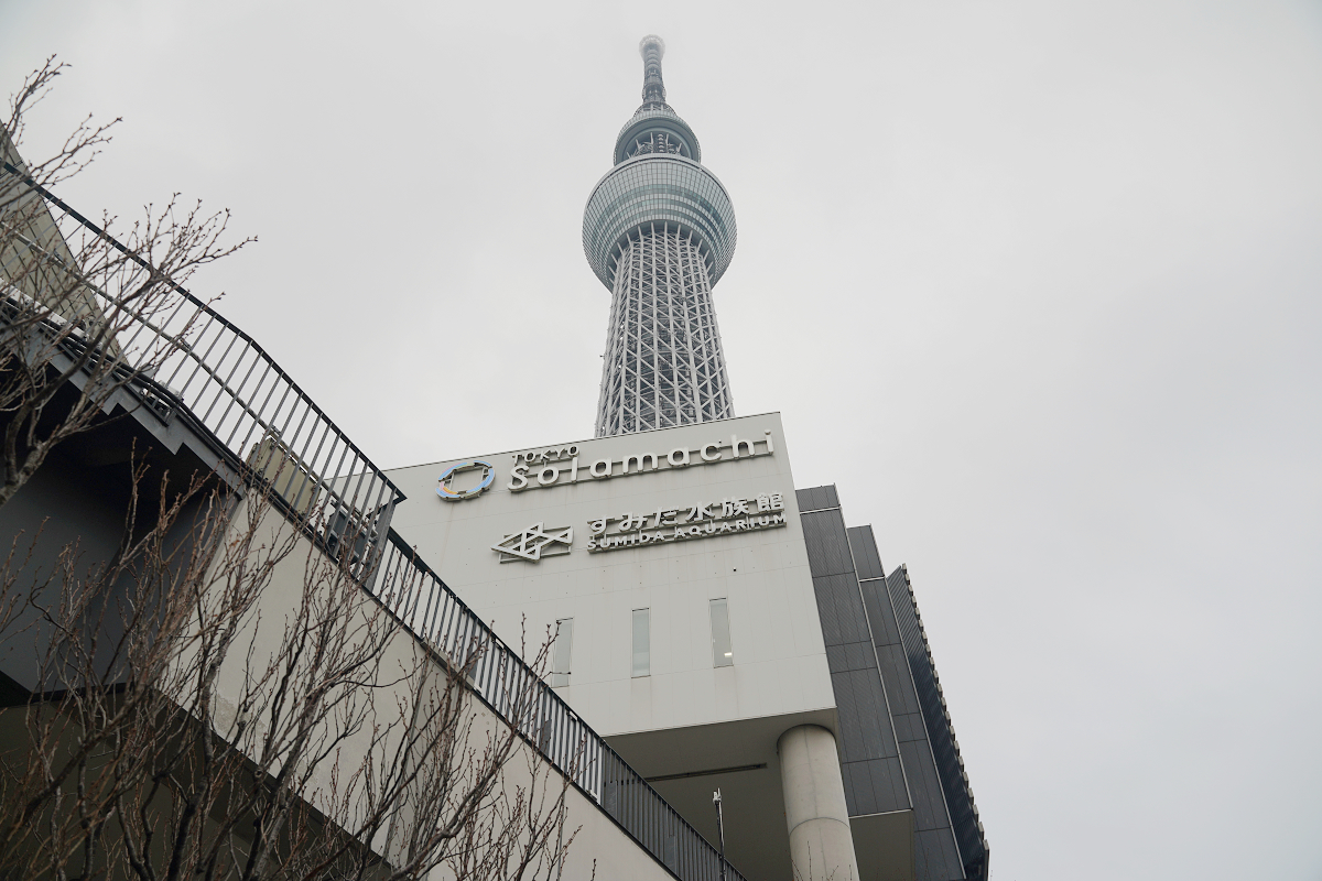 【墨田水族館】東京親子室內景點推薦 東京晴空塔都市型水族館 日本規模最大開放式水槽+網美景點
