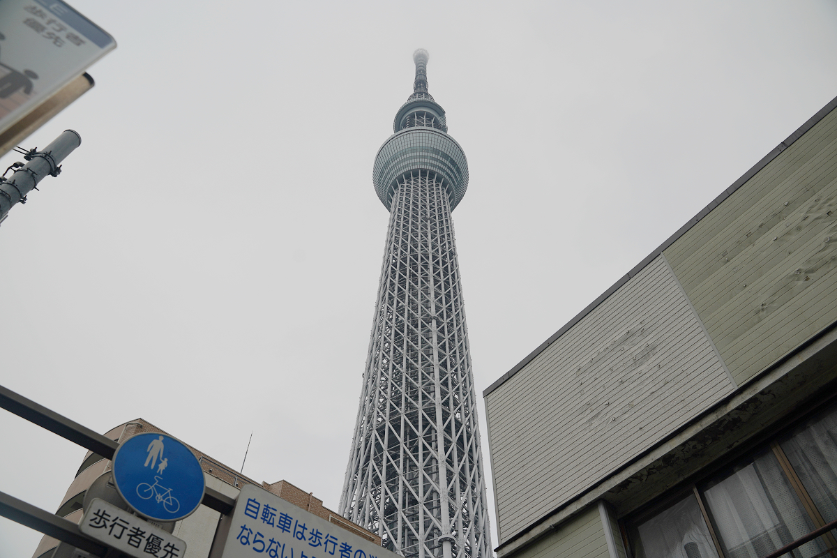 【墨田水族館】東京親子室內景點推薦 東京晴空塔都市型水族館 日本規模最大開放式水槽+網美景點