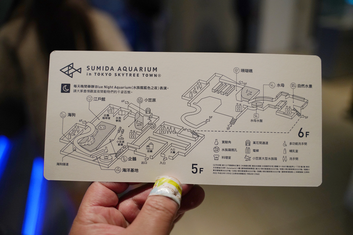 【墨田水族館】東京親子室內景點推薦 東京晴空塔都市型水族館 日本規模最大開放式水槽+網美景點