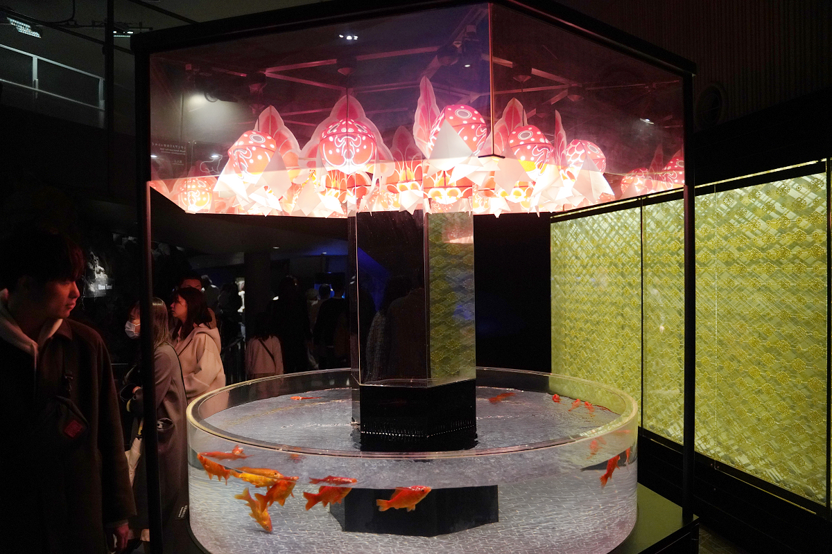 【墨田水族館】東京親子室內景點推薦 東京晴空塔都市型水族館 日本規模最大開放式水槽+網美景點