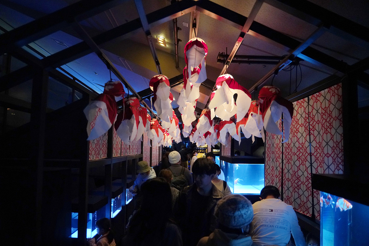 【墨田水族館】東京親子室內景點推薦 東京晴空塔都市型水族館 日本規模最大開放式水槽+網美景點
