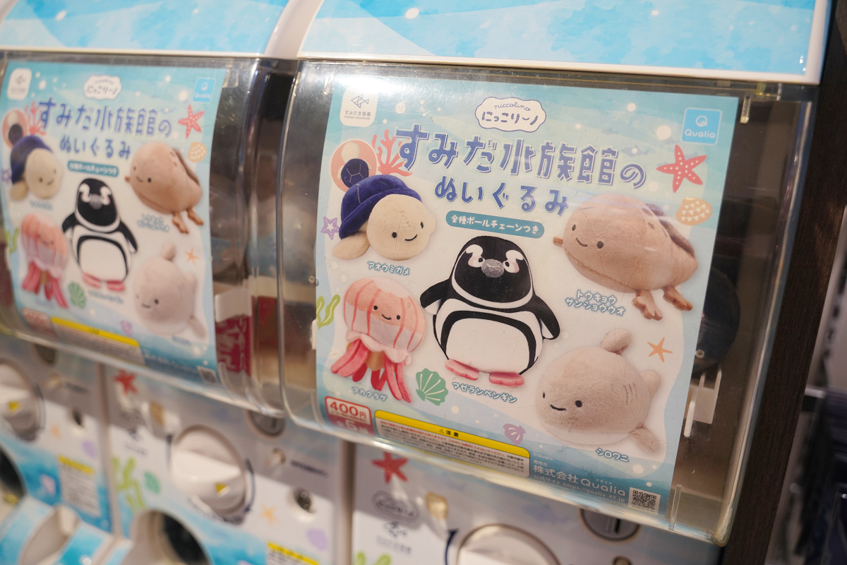 【墨田水族館】東京親子室內景點推薦 東京晴空塔都市型水族館 日本規模最大開放式水槽+網美景點