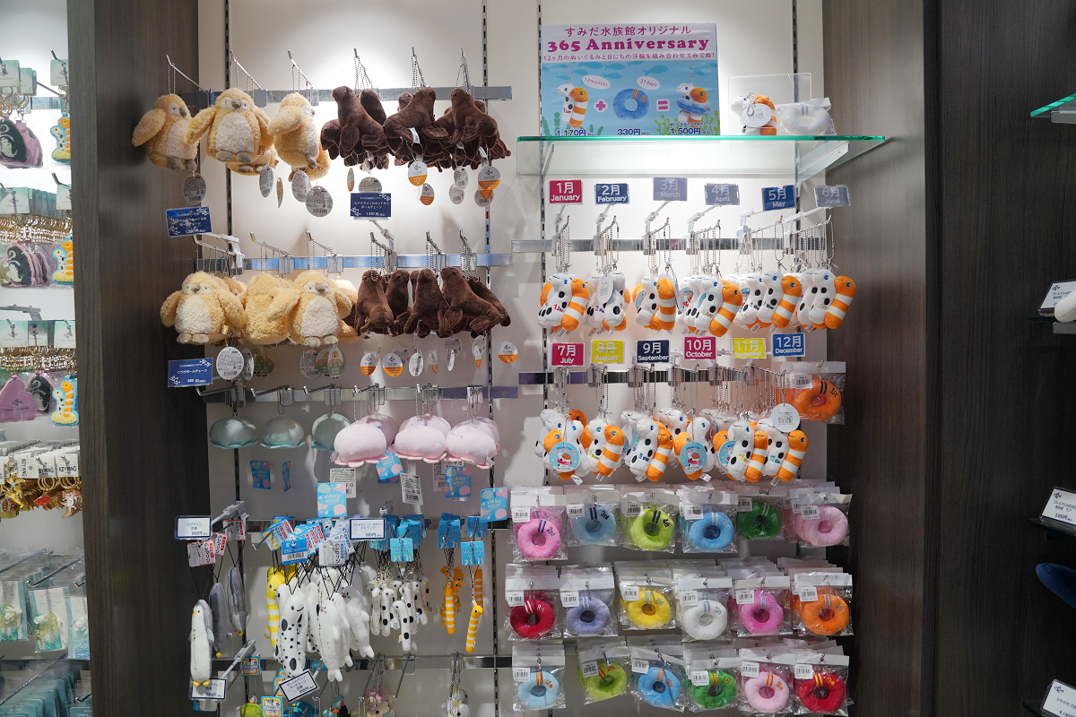 【墨田水族館】東京親子室內景點推薦 東京晴空塔都市型水族館 日本規模最大開放式水槽+網美景點
