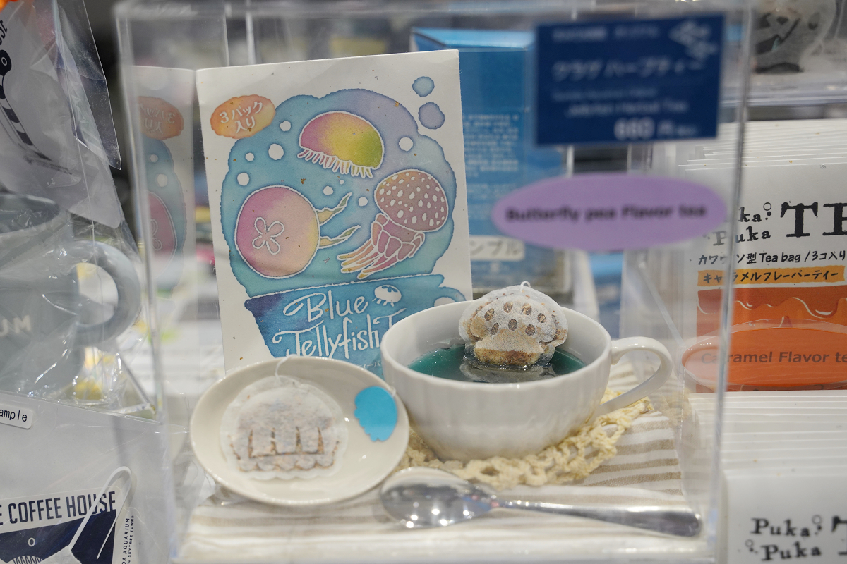 【墨田水族館】東京親子室內景點推薦 東京晴空塔都市型水族館 日本規模最大開放式水槽+網美景點