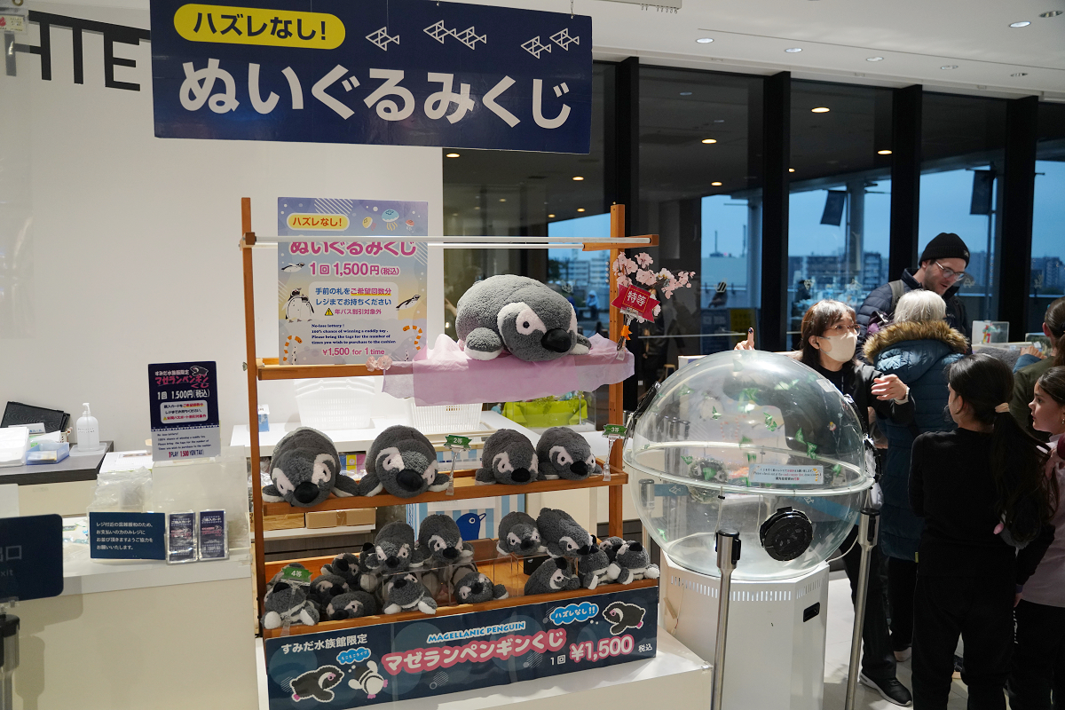 【墨田水族館】東京親子室內景點推薦 東京晴空塔都市型水族館 日本規模最大開放式水槽+網美景點
